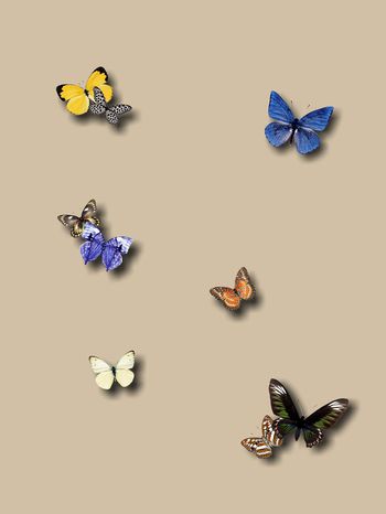 流行时尚印花华亿平台图片