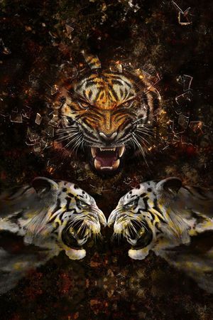 抽象印花华亿平台图片