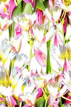 时尚自然风印花华亿平台图片