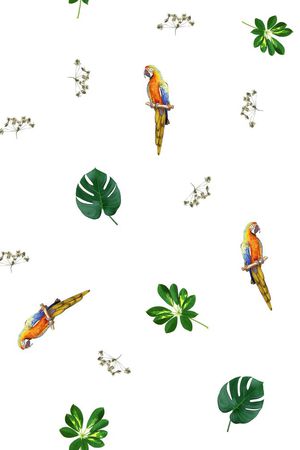 男装华亿平台印花华亿平台图片