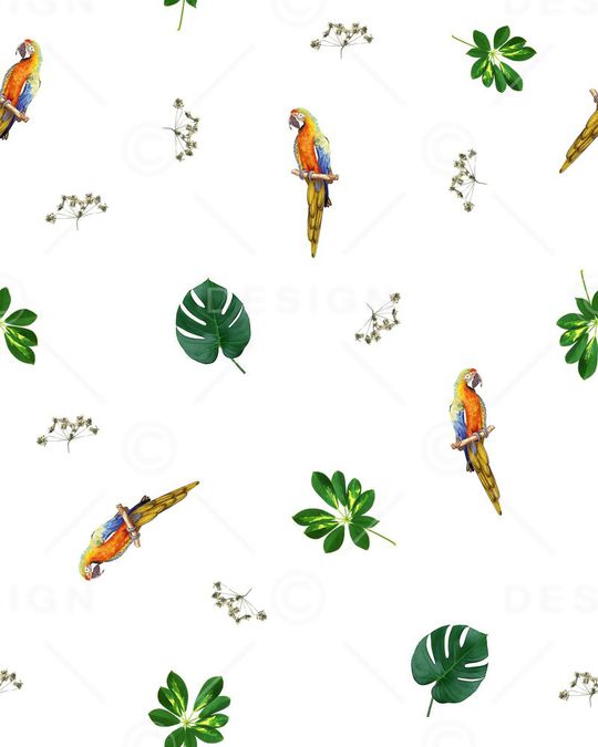 男装华亿平台印花华亿平台图片