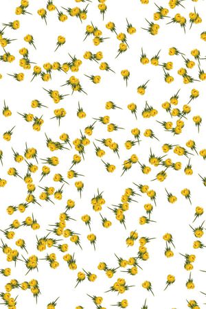 男装华亿平台印花华亿平台图片