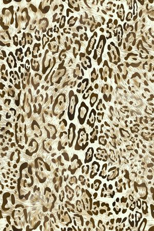 线条印花华亿平台图片