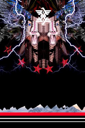 2016　猴子印花华亿平台图片