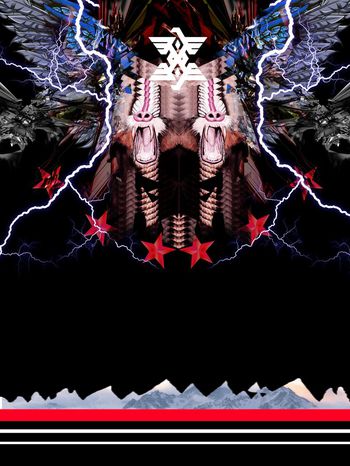 2016　猴子印花华亿平台图片