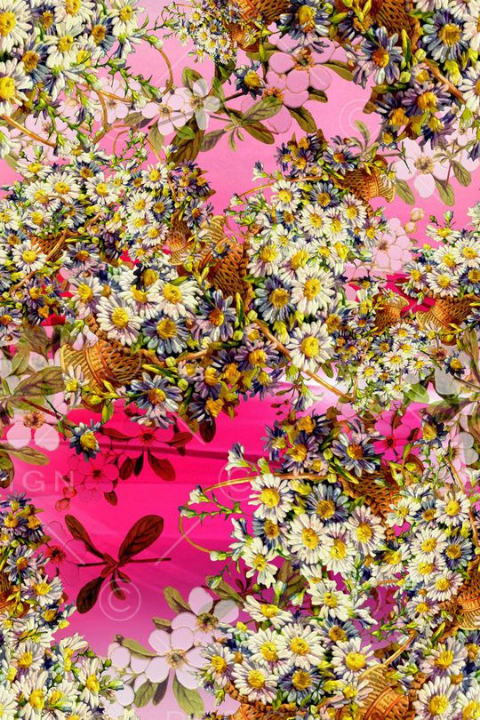 红底印花华亿平台图片