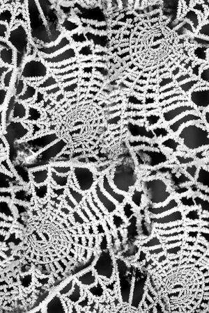 黑白印花华亿平台图片