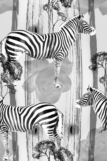 535596-日落前的大草原 斑马树木花卉图案