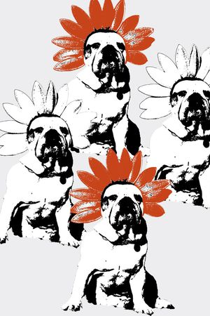 动物印花华亿平台图片