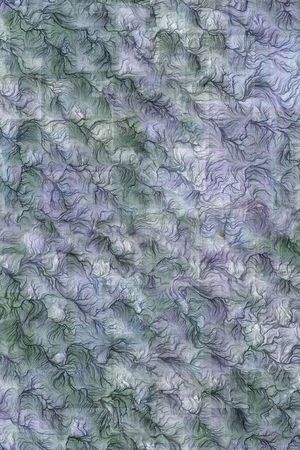 羽毛印花华亿平台图片