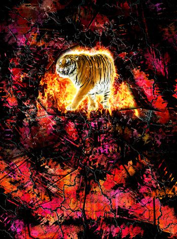 原创印花华亿平台图片