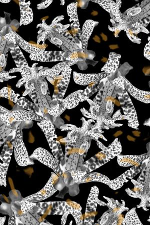 时尚潮流印花华亿平台图片