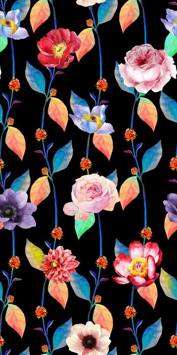 535943-花卉    竖条