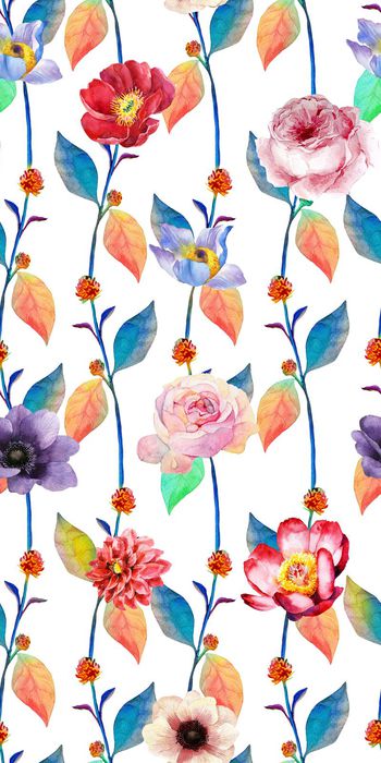 535944-花卉    竖条