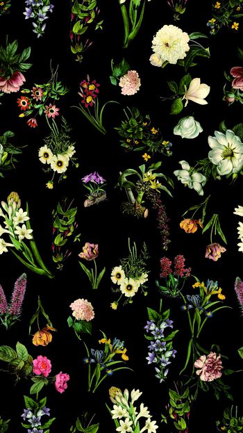 536113-时尚手绘花卉