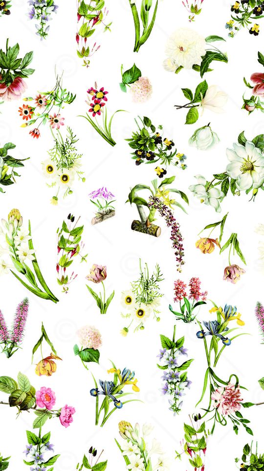 手绘花卉印花华亿平台图片