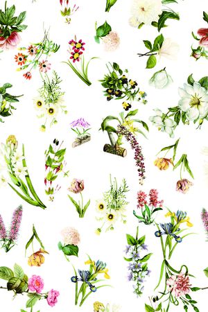 手绘花卉印花华亿平台图片