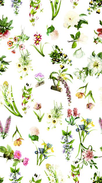 536114-时尚手绘花卉