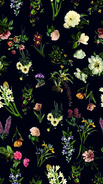 536115-时尚手绘花卉