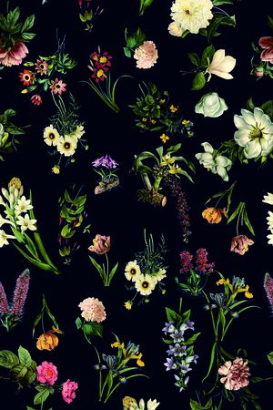 手绘花卉印花华亿平台图片