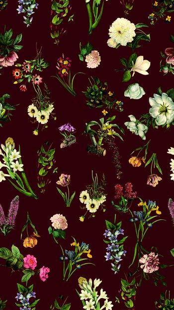 536117-时尚手绘花卉