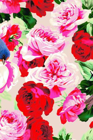 杜嘉班娜印花印花华亿平台图片