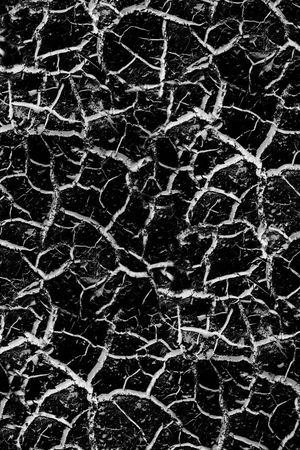 衬衫印花华亿平台图片