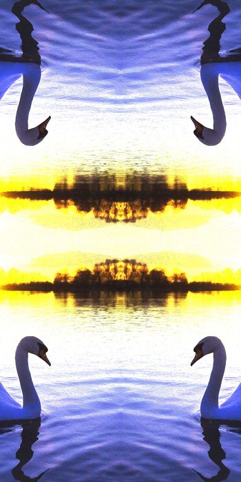 时尚印花华亿平台图片