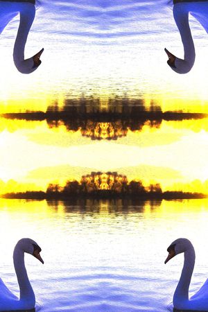 时尚印花华亿平台图片