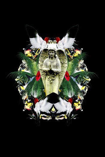 536358-石膏椰叶定位