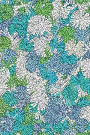 圆形印花华亿平台图片