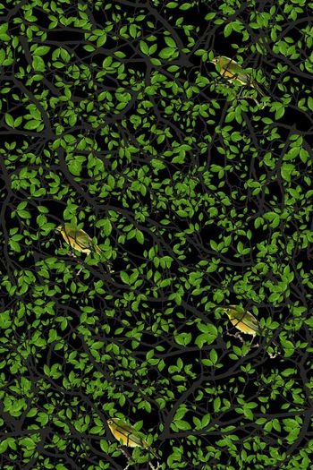 536471-主题 没有星星的森林  抽象树叶鸟