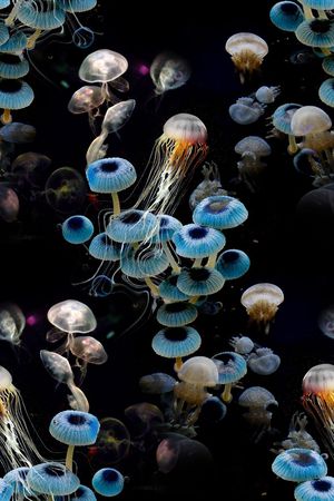 照片景观印花华亿平台图片