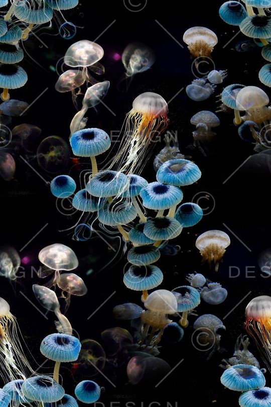 照片景观印花华亿平台图片