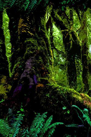 丛林印花华亿平台图片
