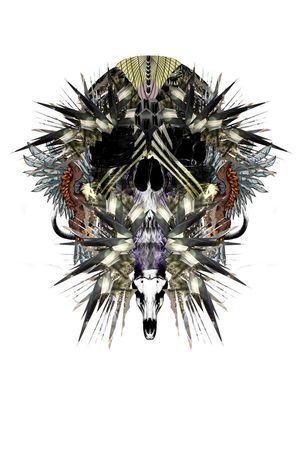 Just Cavalli印花华亿平台图片