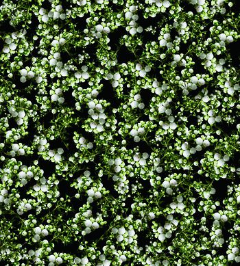 乱花印花华亿平台图片