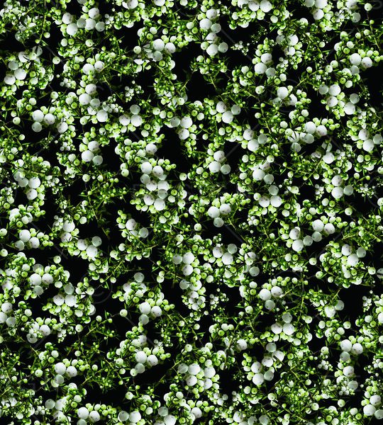 乱花印花华亿平台图片