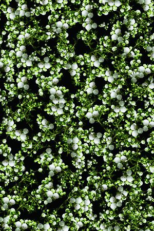 乱花印花华亿平台图片