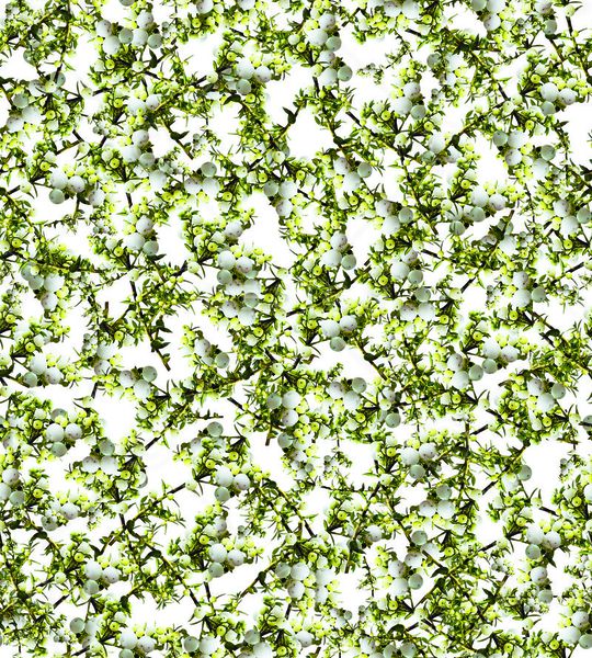 乱花印花华亿平台图片