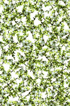 乱花印花华亿平台图片