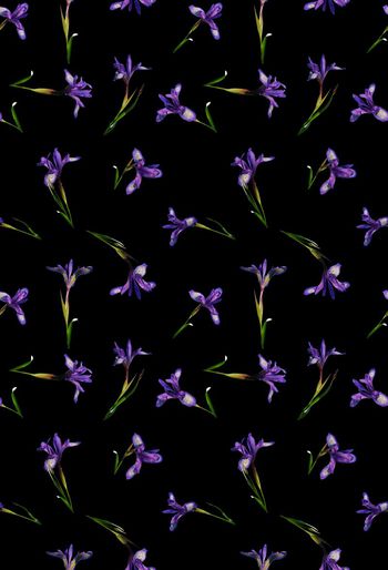 536653-时尚潮流  花卉 兰花 服装 家纺