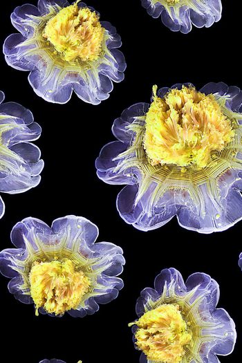 536659-时尚潮流抽象水母大花YC718