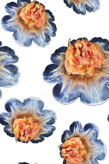 536662-时尚潮流抽象水母大花YC718