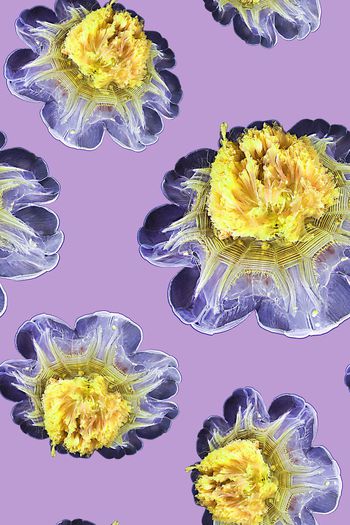 536664-时尚潮流抽象水母大花YC718