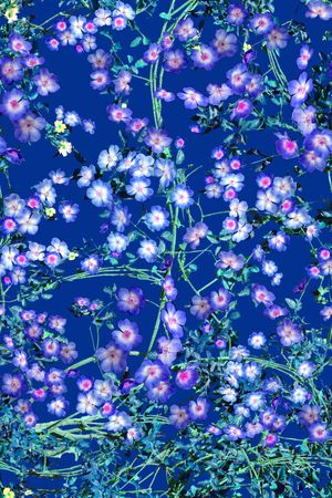 复古印花华亿平台图片