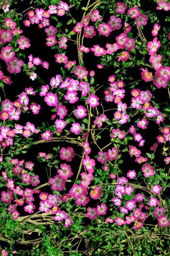 536668-复古 花卉 枝叶 组合 服装 家纺