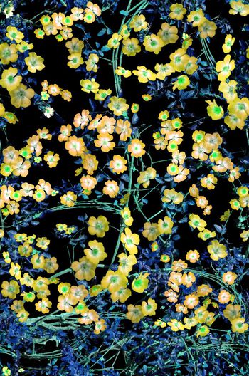 536669-复古 花卉 枝叶 组合 服装 家纺