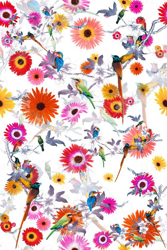 中国风 流行时尚 花鸟印花 服装 家纺 花卉 鸟 树枝印花华亿平台图片