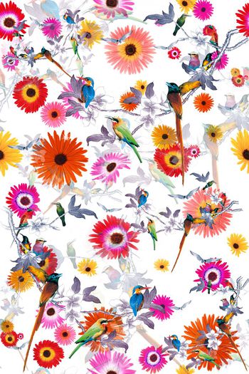 536708-中国风 花鸟印花